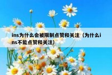 ins为什么会被限制点赞和关注（为什么ins不能点赞和关注）