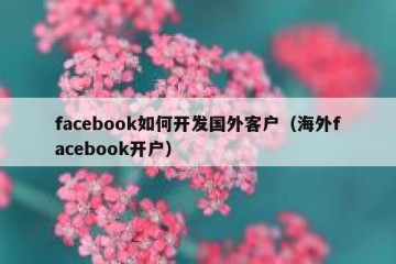facebook如何开发国外客户（海外facebook开户）