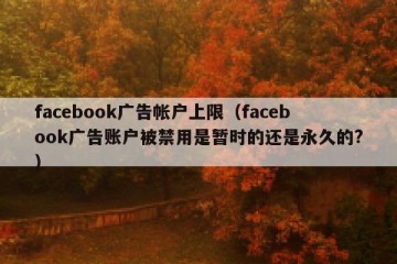 facebook广告帐户上限（facebook广告账户被禁用是暂时的还是永久的?）