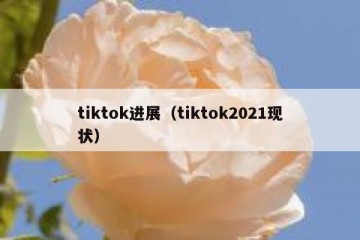 tiktok进展（tiktok2021现状）