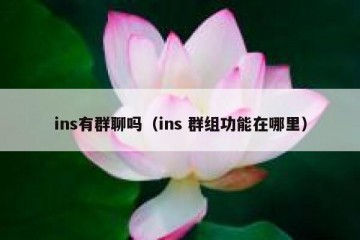 ins有群聊吗（ins 群组功能在哪里）