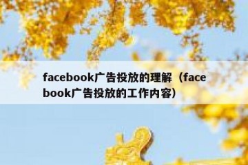 facebook广告投放的理解（facebook广告投放的工作内容）