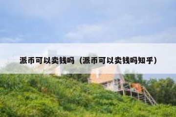 派币可以卖钱吗（派币可以卖钱吗知乎）