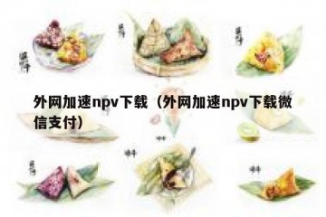 外网加速npv下载（外网加速npv下载微信支付）