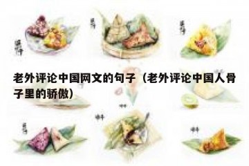 老外评论中国网文的句子（老外评论中国人骨子里的骄傲）