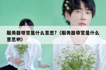 服务器带宽是什么意思?（服务器带宽是什么意思啊）