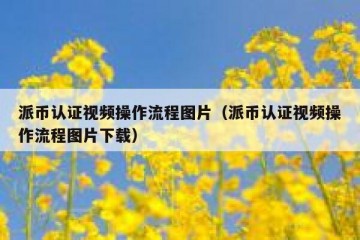 派币认证视频操作流程图片（派币认证视频操作流程图片下载）