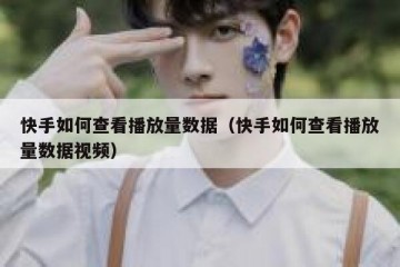 快手如何查看播放量数据（快手如何查看播放量数据视频）