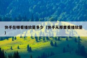 快手在哪看播放量多少（快手从那里看播放量）
