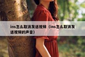 ins怎么取消发送视频（ins怎么取消发送视频的声音）