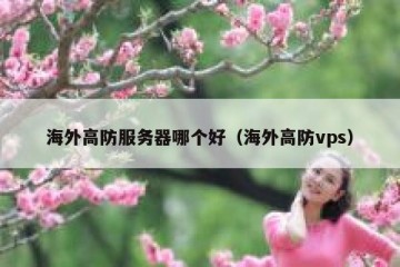 海外高防服务器哪个好（海外高防vps）