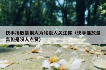 快手播放量很大为啥没人关注你（快手播放量高但是没人点赞）