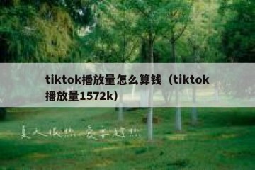 tiktok播放量怎么算钱（tiktok播放量1572k）
