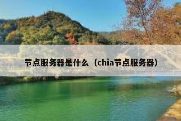 节点服务器是什么（chia节点服务器）