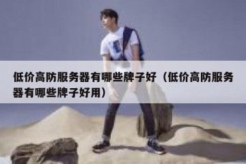 低价高防服务器有哪些牌子好（低价高防服务器有哪些牌子好用）