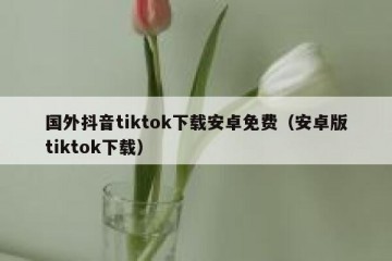 国外抖音tiktok下载安卓免费（安卓版tiktok下载）