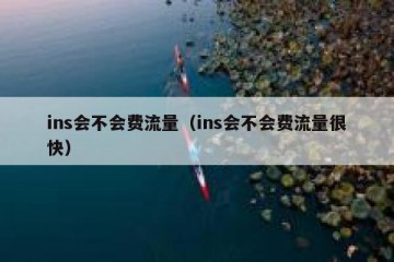 ins会不会费流量（ins会不会费流量很快）