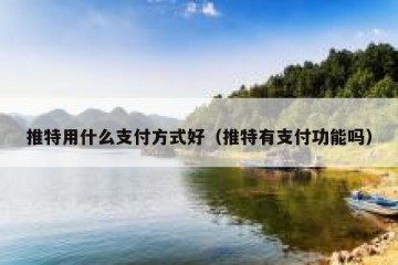 推特用什么支付方式好（推特有支付功能吗）