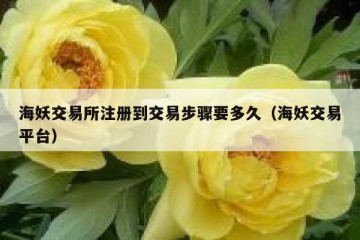 海妖交易所注册到交易步骤要多久（海妖交易平台）