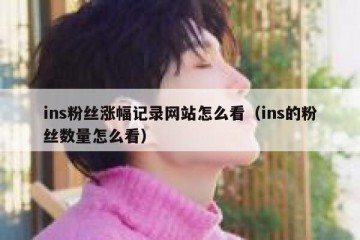 ins粉丝涨幅记录网站怎么看（ins的粉丝数量怎么看）