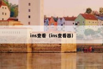 ins查看（ins查看器）