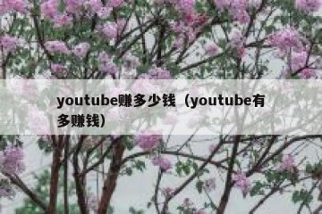 youtube赚多少钱（youtube有多赚钱）