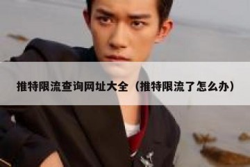 推特限流查询网址大全（推特限流了怎么办）