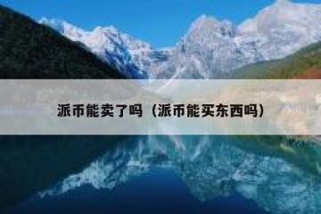 派币能卖了吗（派币能买东西吗）