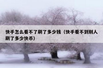快手怎么看不了刷了多少钱（快手看不到别人刷了多少快币）
