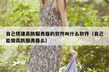 自己搭建高防服务器的软件叫什么软件（自己能做高防服务器么）