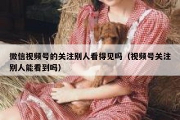 微信视频号的关注别人看得见吗（视频号关注别人能看到吗）