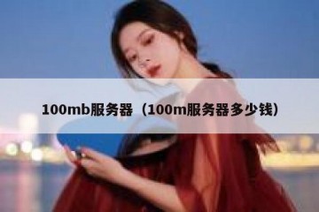 100mb服务器（100m服务器多少钱）