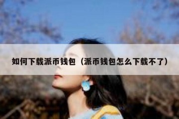 如何下载派币钱包（派币钱包怎么下载不了）