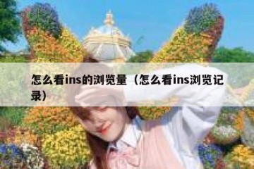 怎么看ins的浏览量（怎么看ins浏览记录）