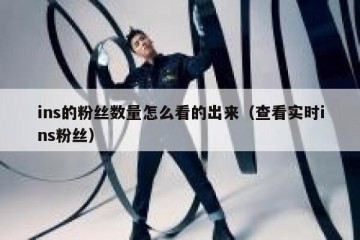 ins的粉丝数量怎么看的出来（查看实时ins粉丝）