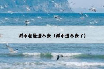 派币老是进不去（派币进不去了）