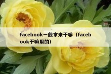 facebook一般拿来干嘛（facebook干嘛用的）