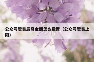 公众号赞赏最高金额怎么设置（公众号赞赏上限）