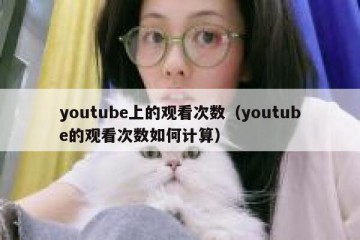 youtube上的观看次数（youtube的观看次数如何计算）