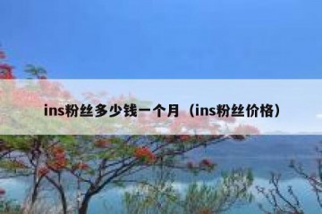 ins粉丝多少钱一个月（ins粉丝价格）