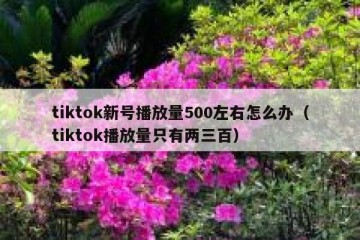 tiktok新号播放量500左右怎么办（tiktok播放量只有两三百）