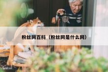 粉丝网百科（粉丝网是什么网）