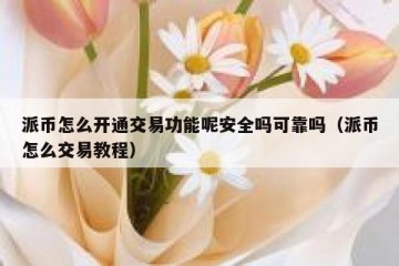 派币怎么开通交易功能呢安全吗可靠吗（派币怎么交易教程）