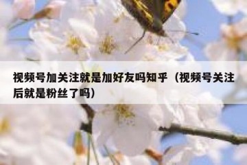 视频号加关注就是加好友吗知乎（视频号关注后就是粉丝了吗）