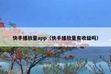 快手播放量app（快手播放量有收益吗）