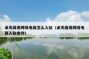 卓天商务跨境电商怎么入驻（卓天商务跨境电商入驻条件）