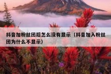 抖音加粉丝团后怎么没有显示（抖音加入粉丝团为什么不显示）