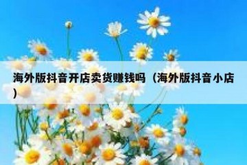 海外版抖音开店卖货赚钱吗（海外版抖音小店）