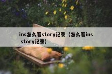 ins怎么看story记录（怎么看ins story记录）