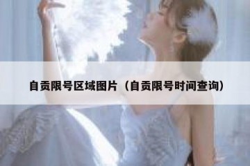自贡限号区域图片（自贡限号时间查询）